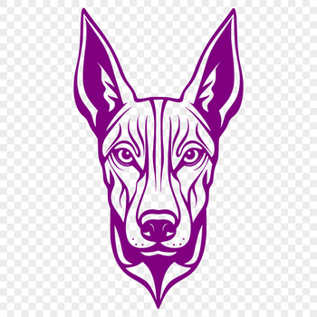 A detailed vector illustration of a Doberman Pinscher's head, suitable for clip art and commercial use.