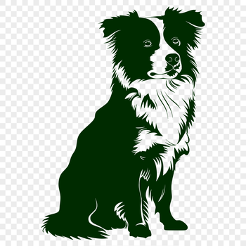 A full-body illustration of a seated Australian Shepherd with a calm expression.
