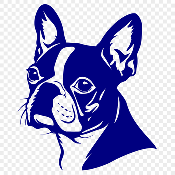 A vector illustration of a friendly Boston Terrier's head with distinct facial features.