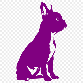 A full-body illustration of a sitting Boston Terrier breed dog.