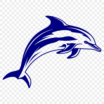 A detailed illustration of a dolphin's full body, depicted in a vector format.
