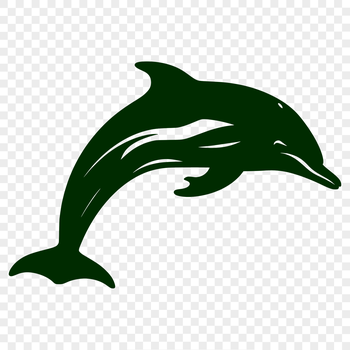 A detailed illustration of a dolphin's full body, showcasing its sleek gray skin and dorsal fin.