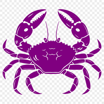 A detailed illustration of a crab's full body from head to tail.