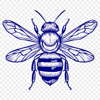 Vector graphic representation of a single bee from head to tail, ideal for digital design and cutting machine applications.
