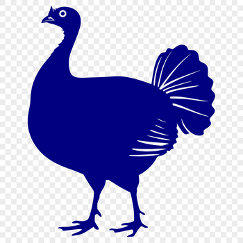 A detailed illustration of a full-bodied turkey in profile, suitable for various graphic designs.