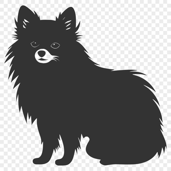 A full-body illustration of a sitting Pomeranian dog in vector format.