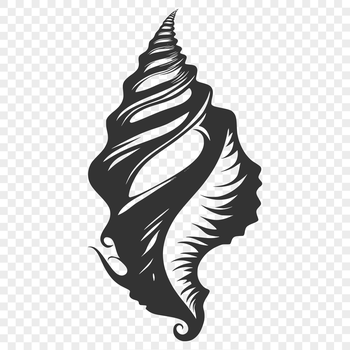 A stylized illustration of a seashell, ideal for vector design and digital crafting.