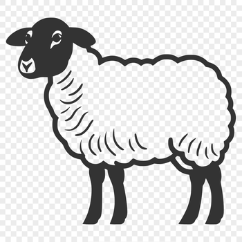 A simple line drawing of a sheep from the side, showcasing its full body form.