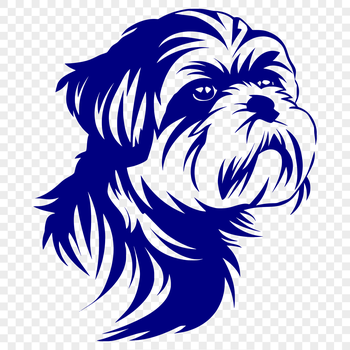 A small breed dog with a flat face and long coat, commonly kept as a pet.