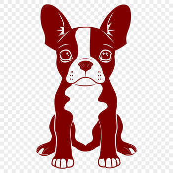 Boston Terrier dog sitting on ground, full-body illustration in vector format.