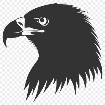 An eagle bird depicted as a scalable graphic with transparent background.
