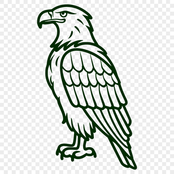 Beautiful Eagle PDF