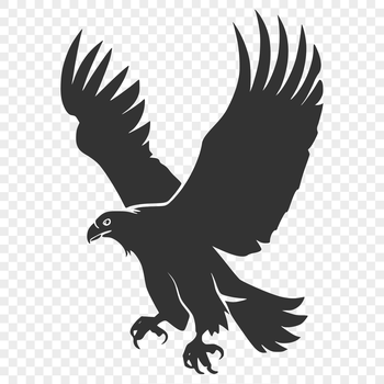 A detailed illustration of a bird in flight, showcasing its wings spread wide.