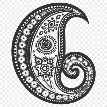 An ornate paisley design featuring intricate patterns and shapes.