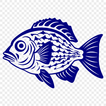 Unique Fish Drawing