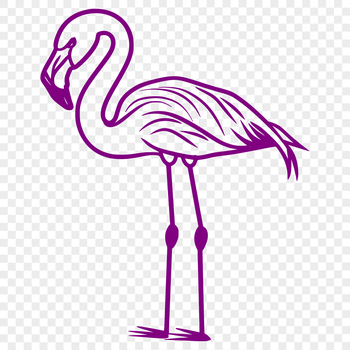 A detailed illustration of a flamingo in full body, featuring the bird's distinctive pink feathers and long neck.