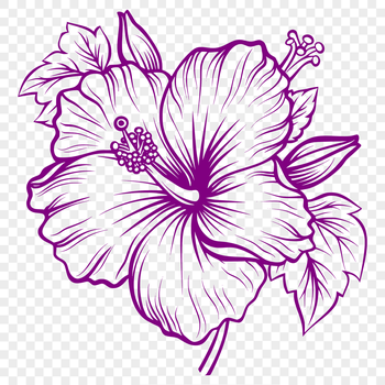 A colorful, tropical hibiscus flower with large, showy blooms.