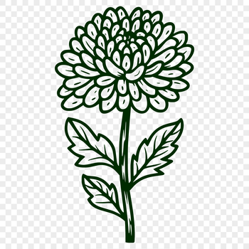 A stylized illustration of a blooming Chrysanthemum flower, suitable for use in digital designs and crafts.