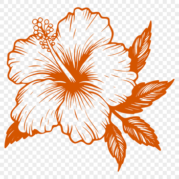 A detailed illustration of a hibiscus flower with intricate petals and center.