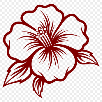 A large, tropical hibiscus flower with five showy petals in a vibrant shade.