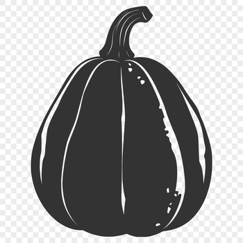 A high-quality SVG illustration of a ripe yellow summer squash.