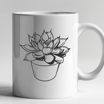 Illustrative succulent plant with fleshy leaves, suitable for gardening and floral design projects.