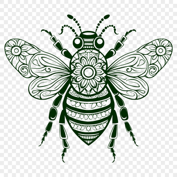 A detailed illustration of a full-body bee insect from the side view.
