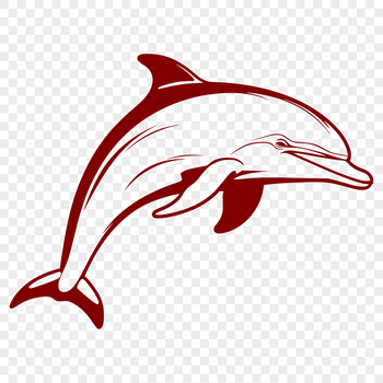 A detailed illustration of a dolphin in full body form, suitable for vector graphics and design projects.