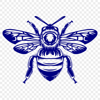 A detailed illustration of a bee in its full body form.