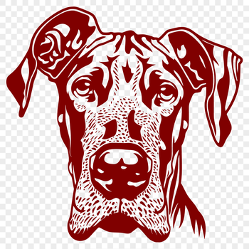 A large dog breed with a distinctive head shape and floppy ears.
