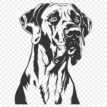 Illustration of a Great Dane's head, ideal for use in graphic design projects or as a cut-out template.