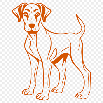 Large breed dog standing on all fours, depicted in full body view.
