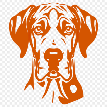 Large breed dog, great dane, sitting calmly with its head held high.