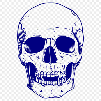 A detailed illustration of a skull in various design styles, suitable for tattoo designs or as clip art.