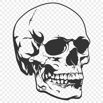 A detailed illustration of a skull in black outline style suitable for various design applications.