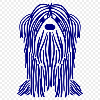 A breed standard Havanese dog sitting on its hind legs.