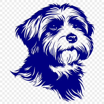 A close-up illustration of a Havanese dog's head with detailed features.