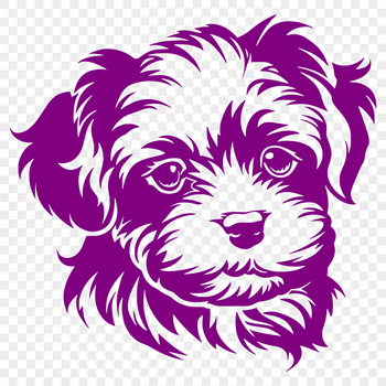 A close-up illustration of a Havanese dog's head, suitable for vector art and design projects.