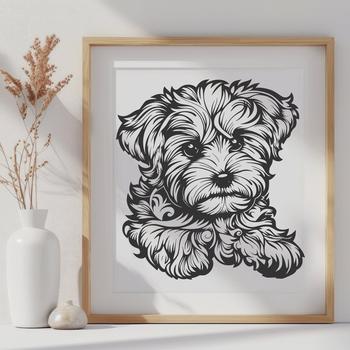 Laying Havanese - DXF