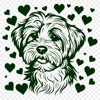 A friendly-looking dog breed with a rounded head and curly fur.