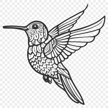 A detailed illustration of a hummingbird in flight, depicted from head to tail with intricate features.