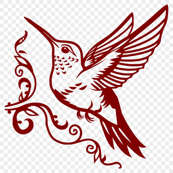 A detailed vector illustration of a hummingbird in full body flight, suitable for various design applications.