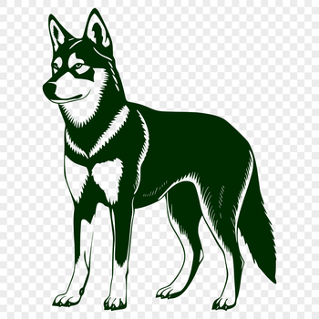 A detailed illustration of a standing husky dog from full body view.
