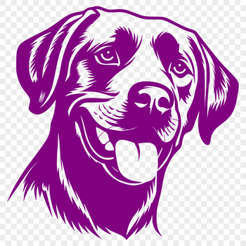 A portrait of a friendly Labrador Retriever dog's head, suitable for digital design projects.