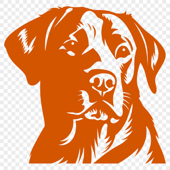 A digital illustration of a Labrador Retriever's head, suitable for various designs.