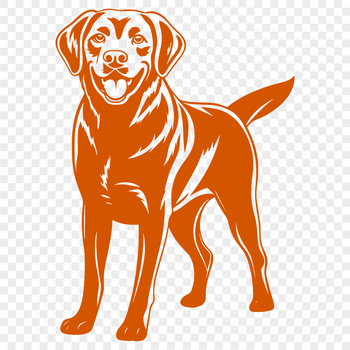 A detailed, full-body illustration of a standing Labrador Retriever breed dog.