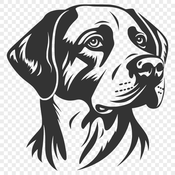 Free Beautiful Labrador Retriever Vector Image