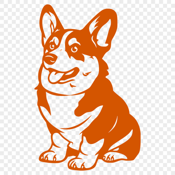 Corgi dog sitting on its haunches in full body pose.