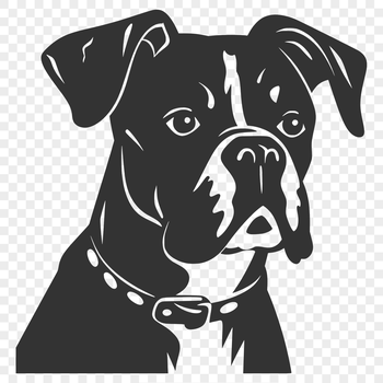 A detailed illustration of a Boxer's head, suitable for use as clip art in various design applications.