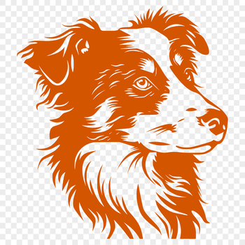 A digital illustration of a head-on portrait of an Australian Shepherd dog with distinctive markings and coat patterns.